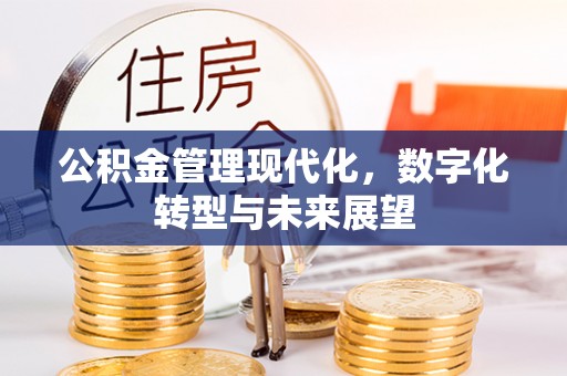惠农公积金管理现代化，数字化转型与未来展望