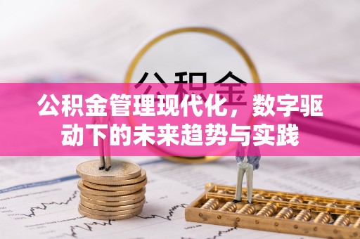 惠农公积金管理现代化，数字驱动下的未来趋势与实践