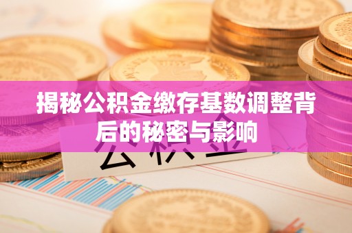 惠农揭秘公积金缴存基数调整背后的秘密与影响