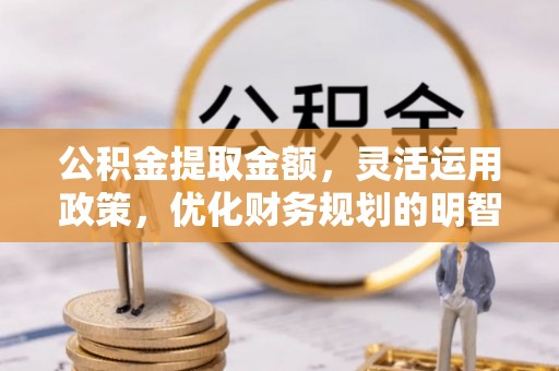 惠农公积金提取金额，灵活运用政策，优化财务规划的明智选择