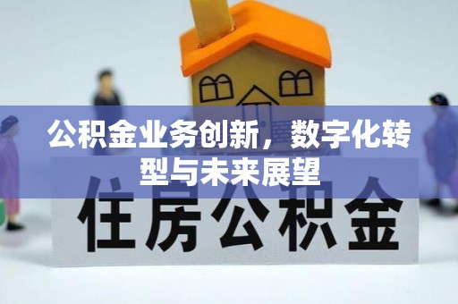 惠农公积金业务创新，数字化转型与未来展望