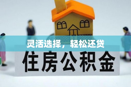 惠农灵活选择，轻松还贷
