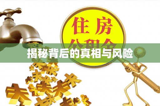 惠农揭秘背后的真相与风险