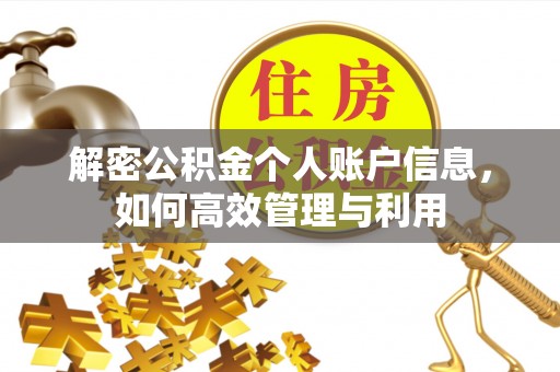 惠农解密公积金个人账户信息，如何高效管理与利用