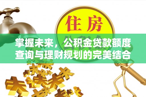 惠农掌握未来，公积金贷款额度查询与理财规划的完美结合