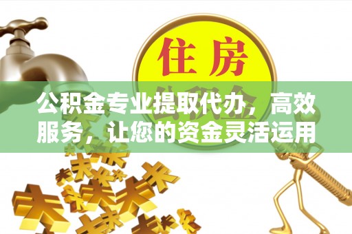 惠农公积金专业提取代办，高效服务，让您的资金灵活运用