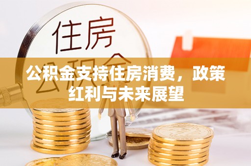 惠农公积金支持住房消费，政策红利与未来展望