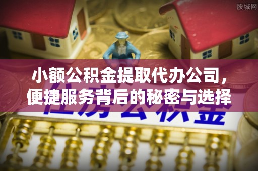 惠农小额公积金提取代办公司，便捷服务背后的秘密与选择指南