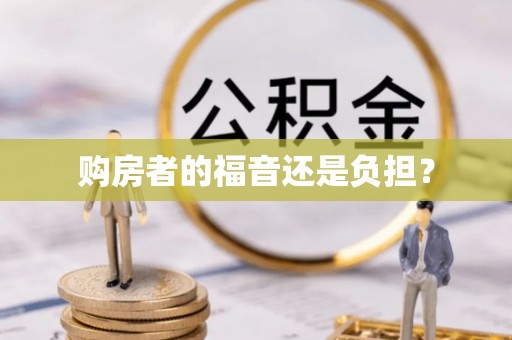 惠农购房者的福音还是负担？