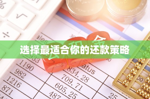 惠农选择最适合你的还款策略
